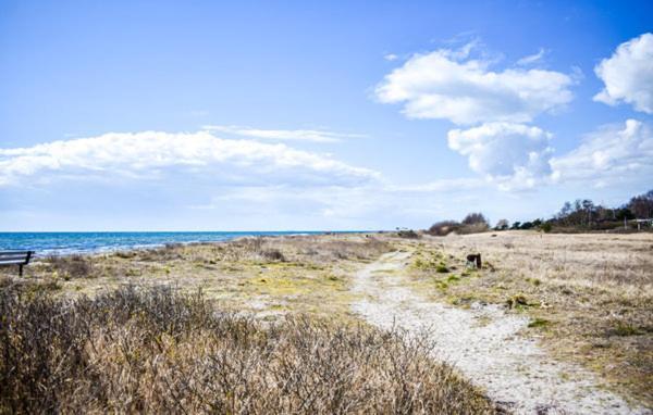 Cosy Cottage By The South Coast Trelleborg Buitenkant foto
